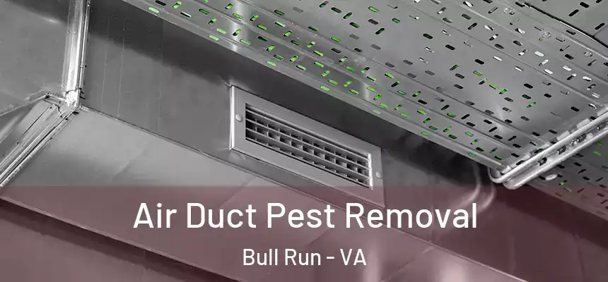  Air Duct Pest Removal Bull Run - VA