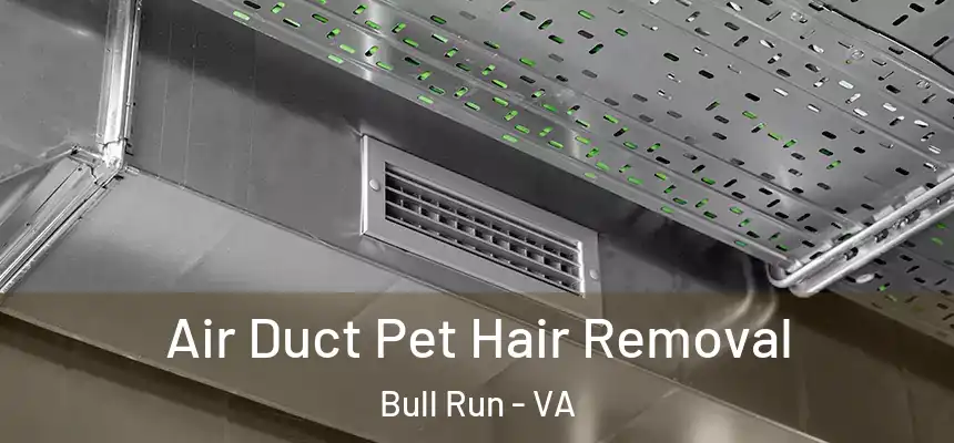 Air Duct Pet Hair Removal Bull Run - VA