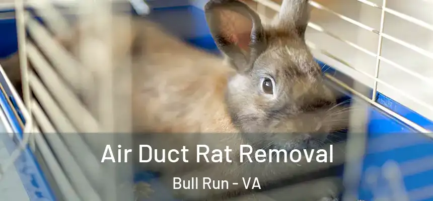  Air Duct Rat Removal Bull Run - VA