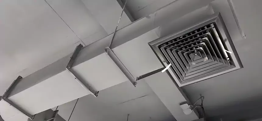 Our Pest Removal From Ducts Services in Bull Run, VA