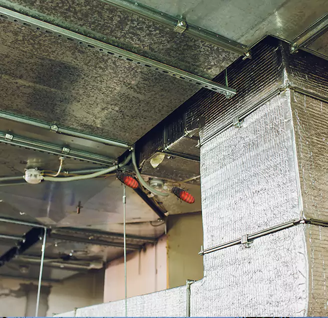 Why Homeowners & Businesses Trust Us in Bull Run, VA?