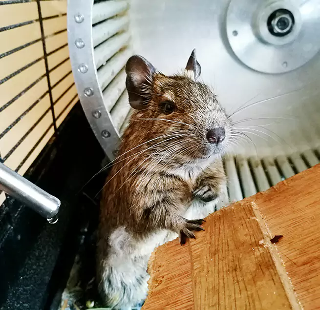 Why Homeowners & Businesses Trust Us Bull Run, VA