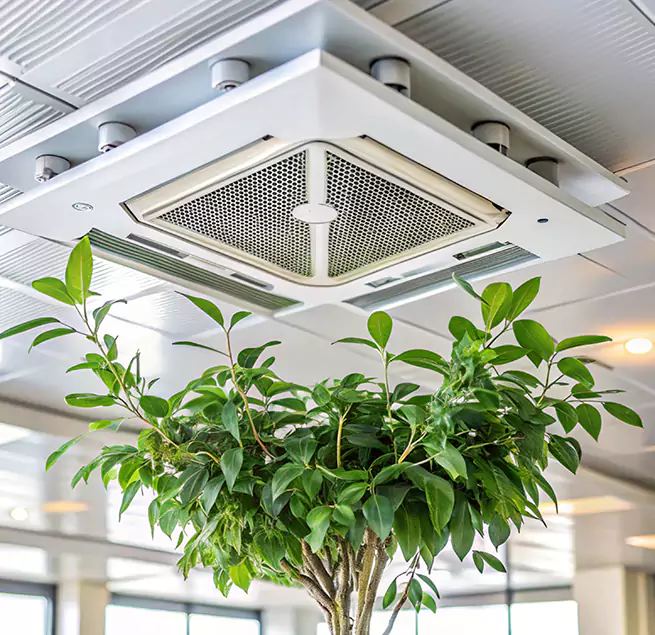 Why Homeowners & Businesses Trust Us in Bull Run, VA